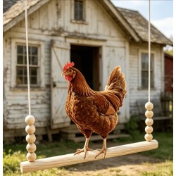 Your Happy Chicken 40cm Wooden Chicken Swing - Swing for Chickens