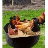 Chicken Dust Bath Container - Keep Your Birds Happy