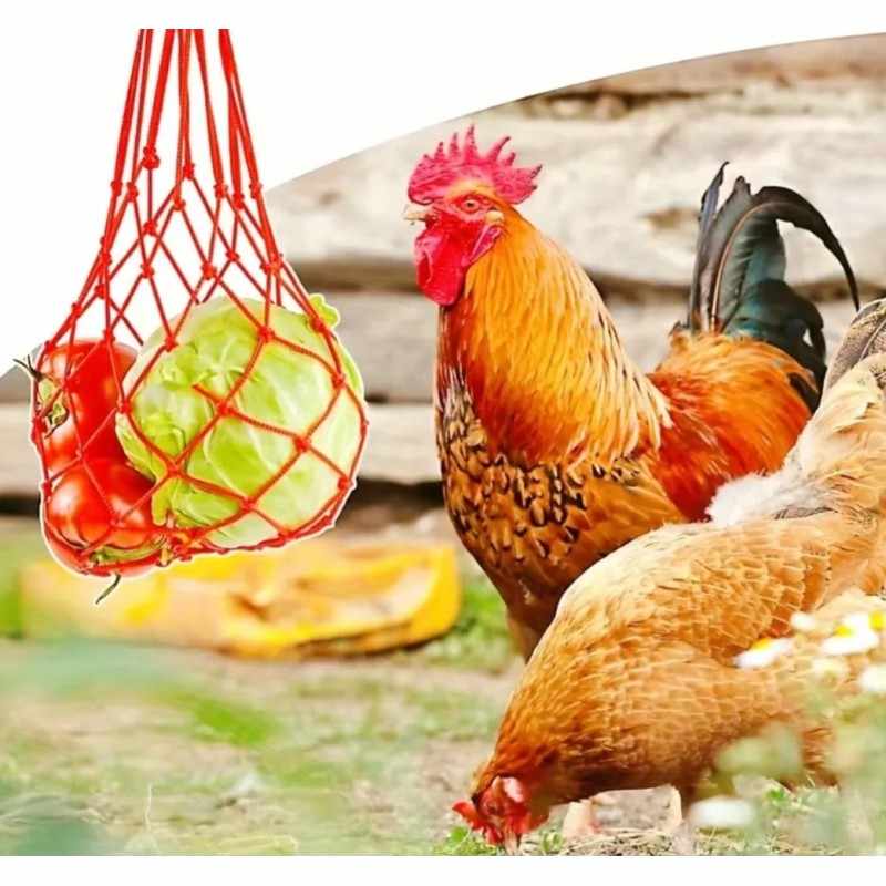 Chicken Vegetable Hanging Net - Keep Your Flock Healthy and Happy