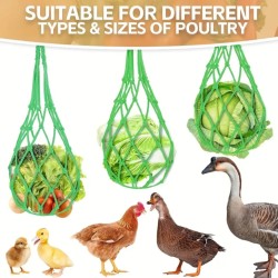 Chicken Vegetable Hanging Net - Keep Your Flock Healthy and Happy