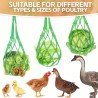 Chicken Vegetable Hanging Net - Keep Your Flock Healthy and Happy