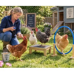Basic Chicken Clicker