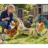 Basic Chicken Clicker