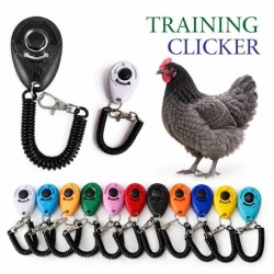 Basic Chicken Clicker