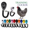 Basic Chicken Clicker