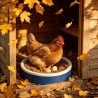 Wooden Hens Eggs - Natural and Rustic Egg Collection Solution