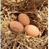 Wooden Hens Eggs - Natural and Rustic Egg Collection Solution