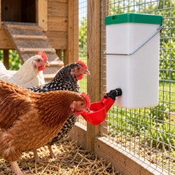 Deluxe Chicken Drinker - 1 Litre Bottle