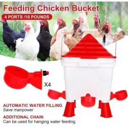 Complete Chicken Feeder and Drinker Set