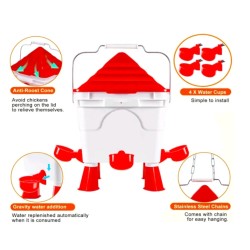 Complete Chicken Feeder and Drinker Set