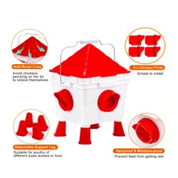 Complete Chicken Feeder and Drinker Set