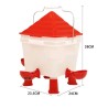 Complete Chicken Feeder and Drinker Set