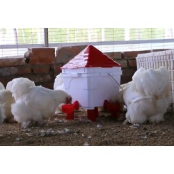 Complete Chicken Feeder and Drinker Set