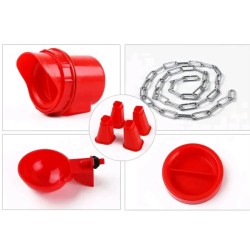 Complete Chicken Feeder and Drinker Set