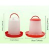Essential Chicken Feeder and Drinker Set