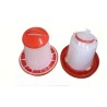 Essential Chicken Feeder and Drinker Set