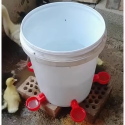 Your Happy Chicken Large Capacity Drinker/Waterer Cups