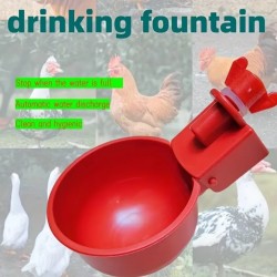 Your Happy Chicken Large Capacity Drinker/Waterer Cups
