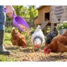 Plastic Feed Scoop for Easy Feeding