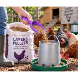 Plastic Feed Scoop for Easy Feeding