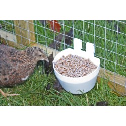Chicken Coop Cups: Convenient Feeding Solution