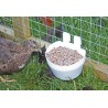 Chicken Coop Cups: Convenient Feeding Solution